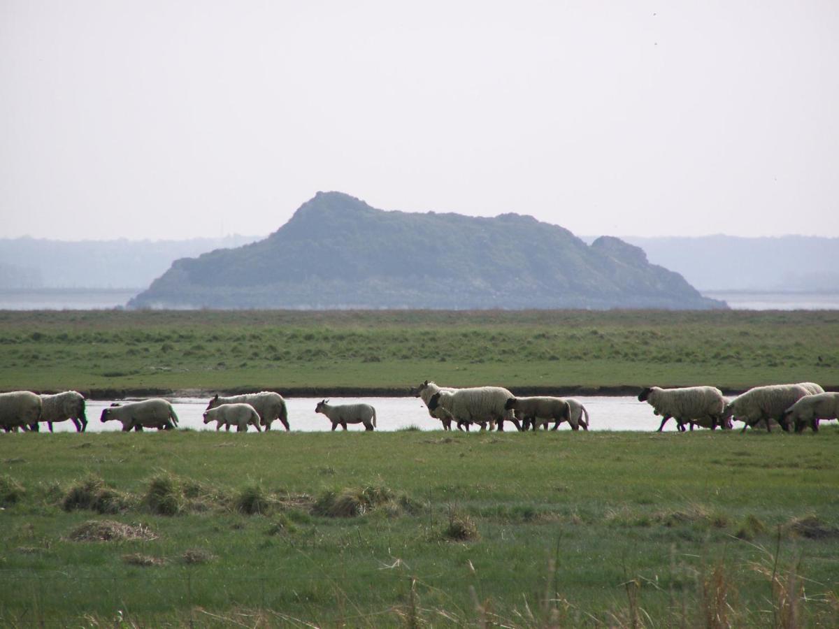 Charmante Maison De Pecheur En Baie Du Mont Saint Michel Genêts Exterior foto